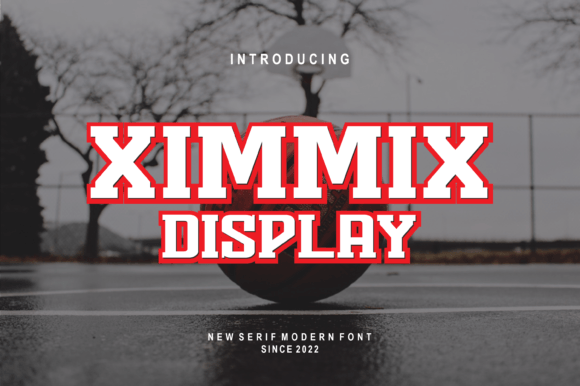 Discovering the Personality of Ximmix Display Font
