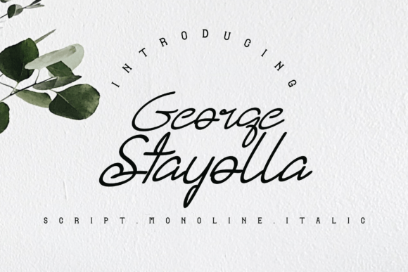 George Stayolla Font: Elevating Your Brand with Elegant Handwritten Style
